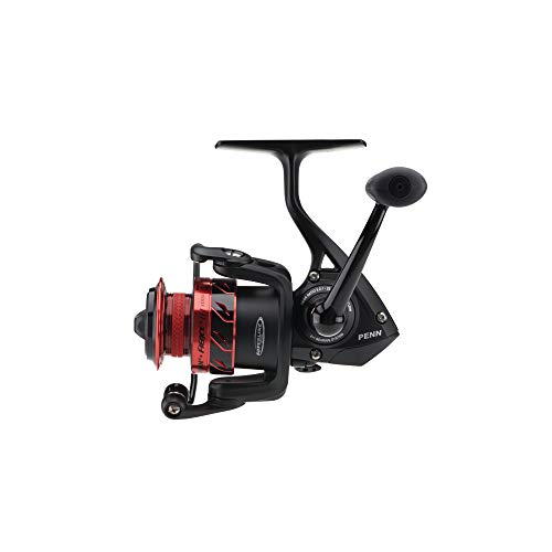 Penn Fierce III Spinning Inshore Fishing Reel, Size 2000, Right/Left Handle Position, 5 Bearings for Smooth Operation - size: 1000 - Box, style: Fierce III