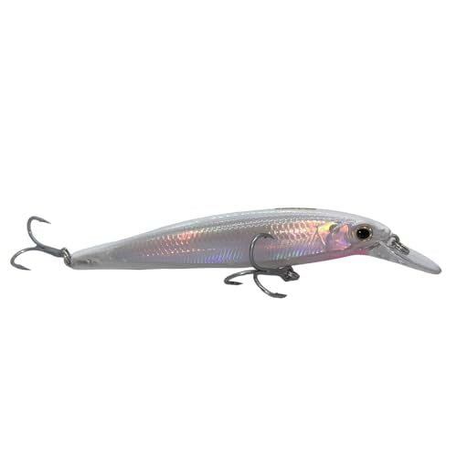 LOGOFUN 2Pcs Fishing Lures Top Water and Deep Sea Bass Fishing Lure for Freshwater and Saltwater Swim Bait 3D Holographic Laser Floating Lure Angling Fishing Gear, 4.7 Inch, 0.8 oz, SW-120F - color: #PW & #AH