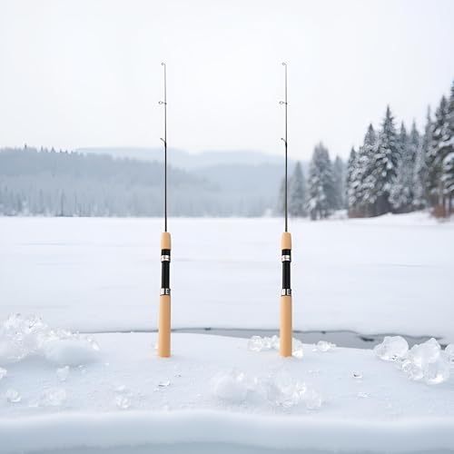2Pcs LCE Fishing Rod, Fishing Rods Ice Fishing Rods Pen Pole Lures Fishing Tackle Spinning Casting Hard Rod Without Reel Useful and Practical Fishing Rod and Reel Combos Hunting and Fishing (75cm)