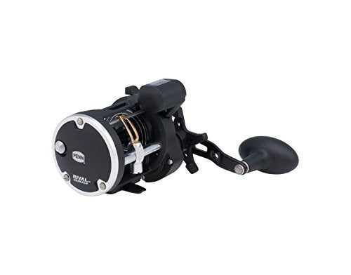 PENN Rival Level Wind Conventional Fishing Reel - size: 30 - Left Hand, style: Old Model