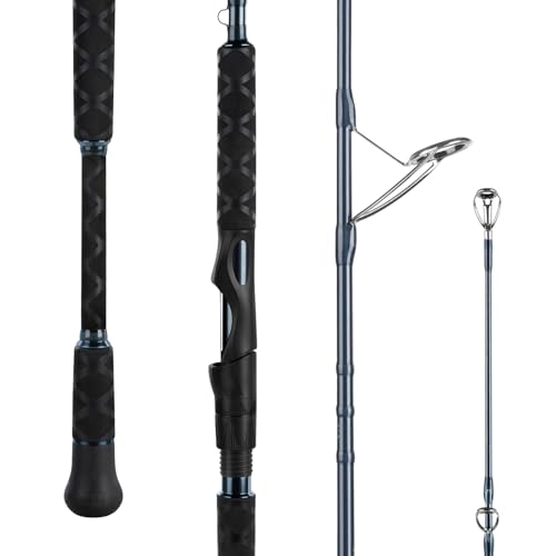 KastKing ReKon Saltwater Spinning Rod, KastFlex IM6 Carbon Graphite Blank, Zirconium Ceramic Guides, Graphite Locking Reel Seat, Oversized Drop Shot Hook Keeper, 2-Piece PTS, Saltwater Fishing - style: Spin- 11'0''- Mh - Fast- 2pcs