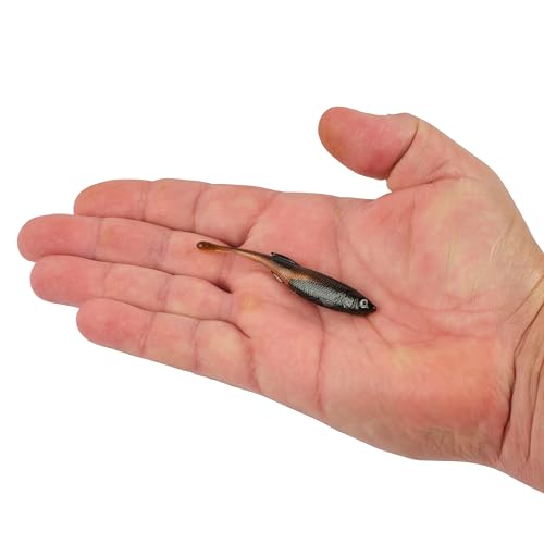 Berkley PowerBait Drip Minnow Fishing Soft Bait - color: Green Pumpkin Shad, size: 3"