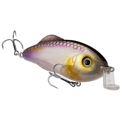 Strike King Hybrid Hunter Shallow Jr. Fishing Lure, Shallow Diving Crankbait, 90-Degree Bill, 3D Eyes, Loud Rattle, Dives 1 to 3-Feet,Size 4 & 6 Treble Hooks - color: Clearwater Minnow, size: 1 oz