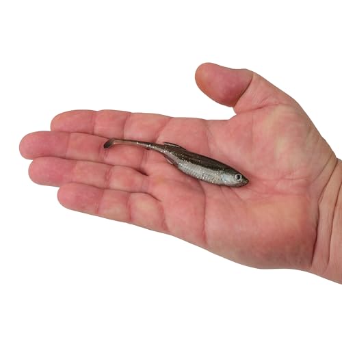 Berkley PowerBait Drip Swimmer Fishing Soft Bait - color: HD Spottail Shiner, size: 4"