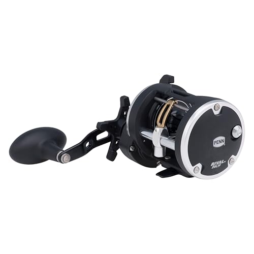 PENN Rival Level Wind Conventional Fishing Reel - size: 20 - Clam Pack, style: Old Model