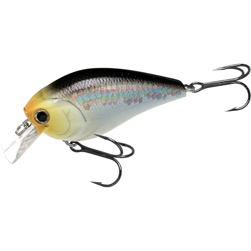 LUCKY CRAFT LC 2.5 Silent Crankbait Fishing Lures, 2-3/8” Squarebill Crankbait, Bass Lures, Floating 4ft Depth Hard Bait, Champion Freshwater Fishing Gear and Tackle Box Accessories - color: 424 MS Impulse Shad