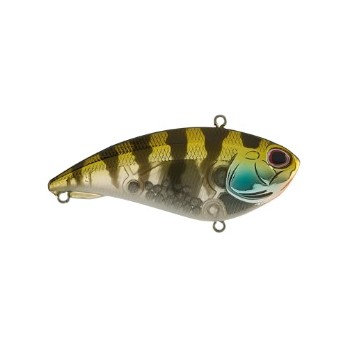 Berkley Jack - color: Ghost Chrome Gill, size: 3.1 in - 1 oz