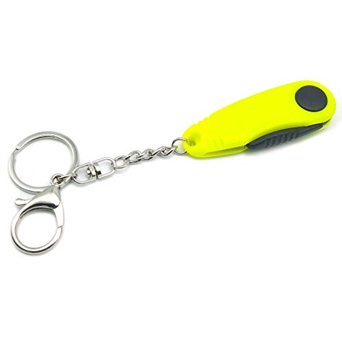 GARASANI Mini Stainless Steel Foldable Blade Fishing Plier Scissor Braid Line Snip Cutter with Key Chain (Green)