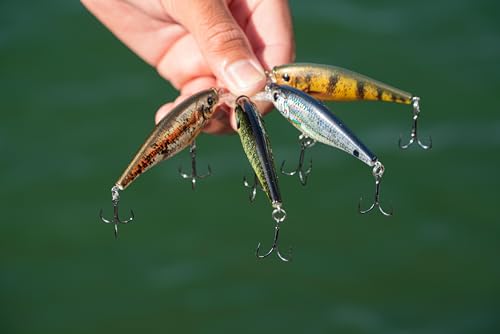 Berkley Flicker Shad Fishing Lure, Rainbow Trout, 5/16 oz, 2 3/4in | 7cm Crankbaits, Size, Profile and Dive Depth Imitates Real Shad, Equipped with Fusion19 Hook - color: Rainbow Trout, size: 2 3/4in - 5/16 oz