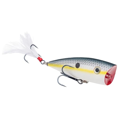 Strike King KVD Splash Fishing Lure, Topwater Popper, Sexy Shad, 3/8-Ounce, 1 Count (Pack of 3)