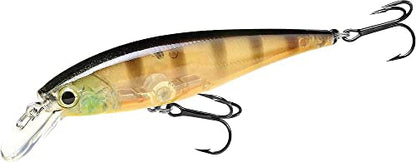 LUCKY CRAFT Pointer 78SP Fishing Lures, 3" Freshwater Bass & Trout Lures, Suspending 4ft-5ft Depth, Jerkbait, Bass Fishing Gear and Accessories, Ghost & Aurora - color: 243 Ghost Black and Gold
