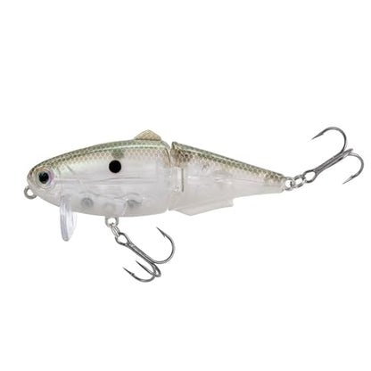 Strike King (HCWS2-568) Wake Shad Fishing Lure, Single Jointed Swimming Topwater Wakebait, 1-Ounce, Size 2 Treble Hooks, Green Gizzard Shad