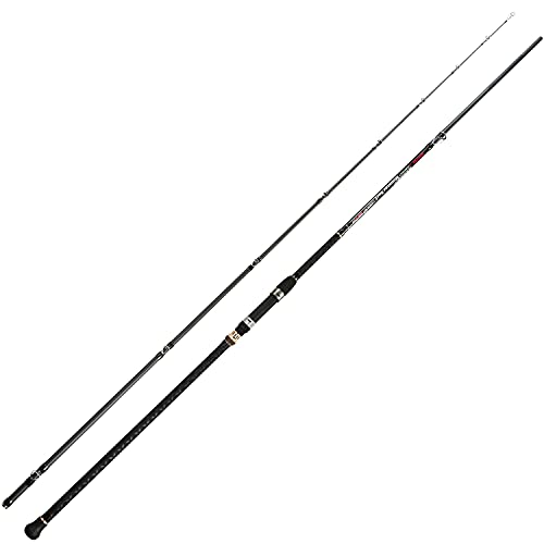 BERRYPRO Surf Spinning Fishing Rod Graphite Spinning Rod - size: 10'-Casting-2pc