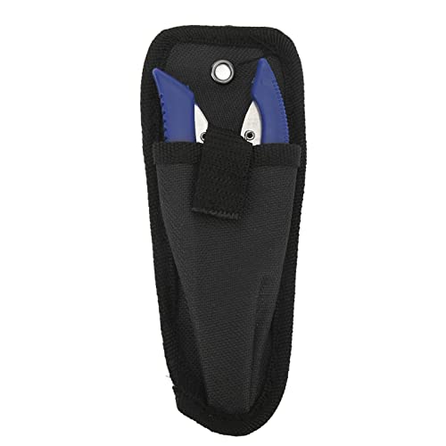 Fishing Pliers Multi Function Lure Pliers with Curved Mouth Stainless Steel Fishing Hook Remover and Line Cutting Scissors Braid Cutters for Outdoor Fishing Durable (Blue) - color: Blue