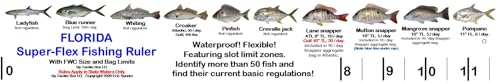 Two (2) Florida Super-Flex Folding Fishing Rulers with Color Photos of 54 FL Saltwater Fish and Their Rules Plus Lots of FL Angler Information