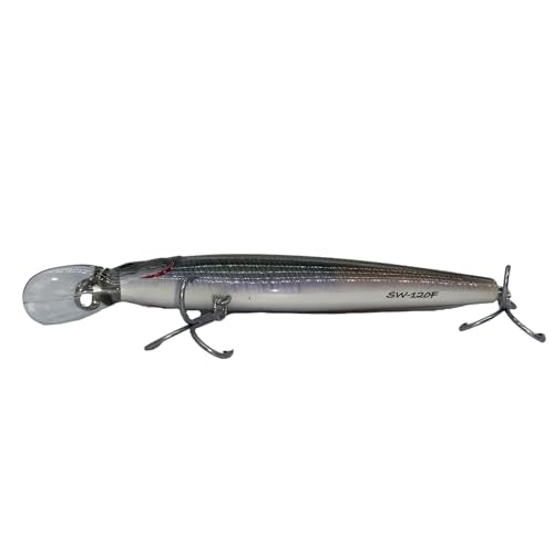 LOGOFUN 2Pcs Fishing Lures Top Water and Deep Sea Bass Fishing Lure for Freshwater and Saltwater Swim Bait 3D Holographic Laser Floating Lure Angling Fishing Gear, 4.7 Inch, 0.8 oz, SW-120F - color: #PW & #AH