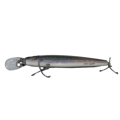 LOGOFUN 2Pcs Fishing Lures Top Water and Deep Sea Bass Fishing Lure for Freshwater and Saltwater Swim Bait 3D Holographic Laser Floating Lure Angling Fishing Gear, 4.7 Inch, 0.8 oz, SW-120F - color: #PW & #AH
