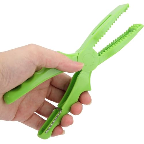 2 Pcs Fishing Pliers 8.1 Inch – ABS Fish Grip Clamp with Ergonomic Handle and Lanyard for Saltwater and Freshwater Fishing, Lightweight Portable Tackle Tool - color: Green