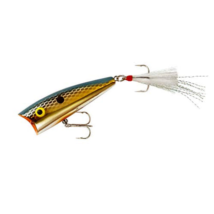 Rebel Lures Pop-R Topwater Popper Fishing Lure - color: Foxy Momma, style: Pop-r (1/4 Oz)
