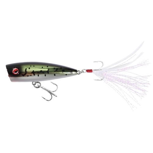 LITTMA Bass Fishing Topwater Popper Lures - Effective Top Water Lures for Bass Anglers - Durable Design for Catching Trophy Bass with High-Performance Popping Action - color: Bass