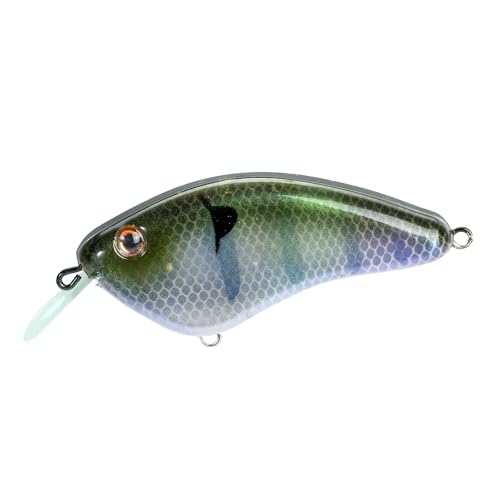 Strike King Hardliner Fishing Lure, Flat Sided Crankbait, Circuit Board Lip, Extra Tight Wobble, Size 4 Treble Hooks - color: The Real Gill