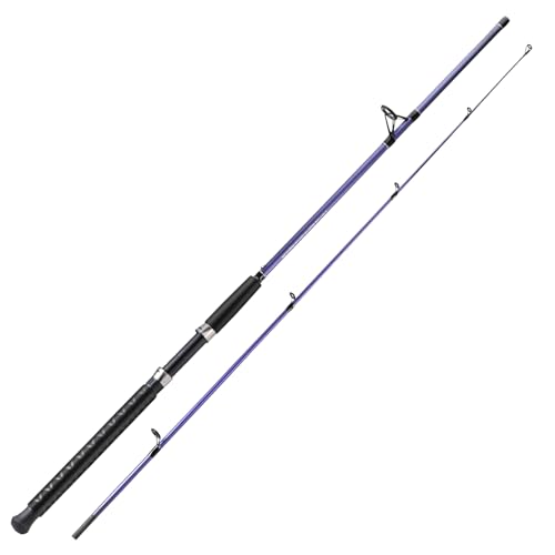 Sougayilang Spinning Rods, Strong Carbon&Glass Composite Fishing Pole with Stainless Steel Line Guides for Catfish- 7'0" - color: Purple-1Pack