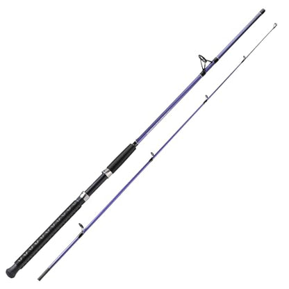 Sougayilang Spinning Rods, Strong Carbon&Glass Composite Fishing Pole with Stainless Steel Line Guides for Catfish- 7'0" - color: Purple-1Pack