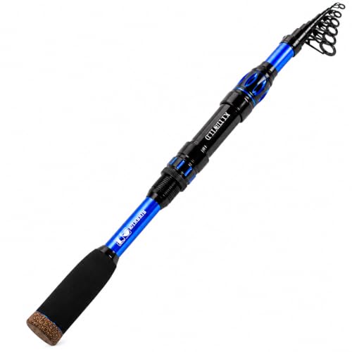 TORVEX Telescopic Fishing Rod,Travel Spinning Rod with Ceramic Guides, Stainless Steel Reel Seat, EVA Handle, Portable Collapsible for Bass Trout Catfish, Freshwater Saltwater, 6-9FT - color: TORVEX- Blue, size: 9FT/2.7M