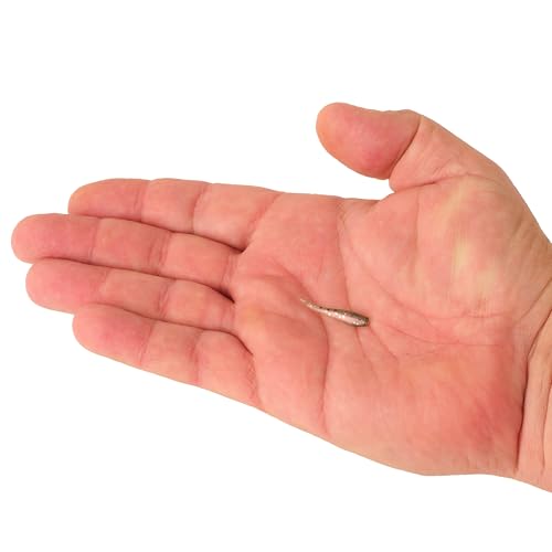 Berkley PowerBait® Minnow,Emerald Shiner,4" (10 Count) - color: Emerald Shiner, size: 4" (10 Count)