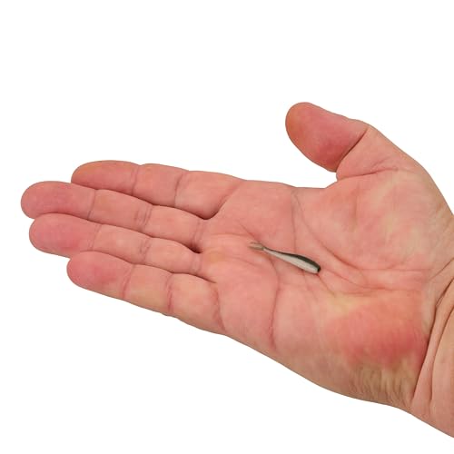 Berkley Gulp! Alive! Minnow Fishing Soft Bait - color: Emerald Shiner, size: 1in - Jar