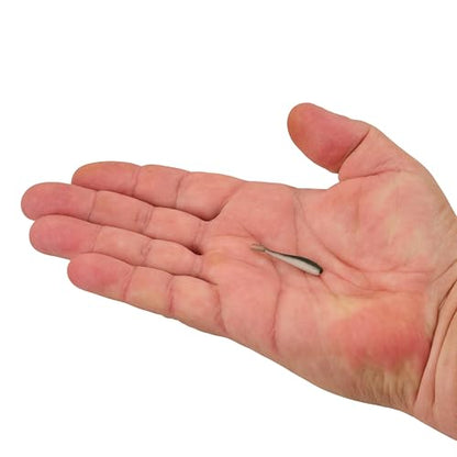Berkley Gulp! Alive! Minnow Fishing Soft Bait - color: Emerald Shiner, size: 1in - Jar