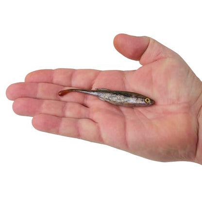 Berkley PowerBait Drip Minnow Fishing Soft Bait - color: HD Goby, size: 4"