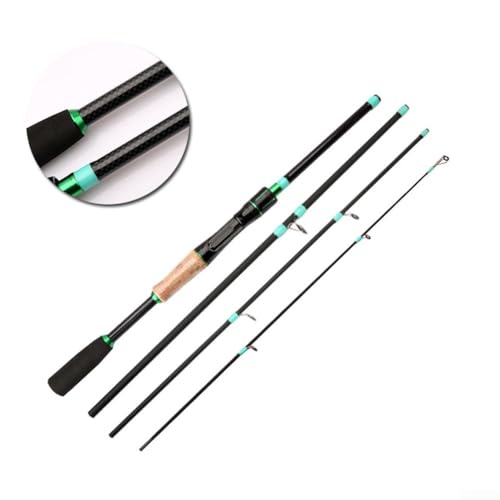 Spin & Casting Rods, Strong Carbon&Glass Composite Fishing Rod with Stainless Steel Line Guides for Bass, Trout, Panfish, Catfish(POLISHED SPIN 1.65M)