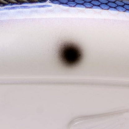 Strike King (HCWS2-741) Wake Shad Fishing Lure, Single Jointed Swimming Topwater Wakebait, 1-Ounce, Size 2 Treble Hooks, Hornet Blue