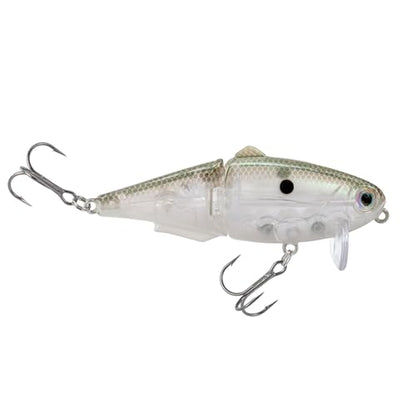 Strike King (HCWS2-568) Wake Shad Fishing Lure, Single Jointed Swimming Topwater Wakebait, 1-Ounce, Size 2 Treble Hooks, Green Gizzard Shad