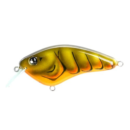 Strike King Hardliner Fishing Lure, Flat Sided Crankbait, Circuit Board Lip, Extra Tight Wobble, Size 4 Treble Hooks - color: Green Gourd