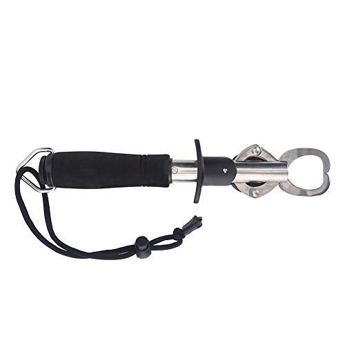 3 in 1 Fish Lip Grip Tool with Digital Scale 15kg, Fish Grabber for Freshwater Fishing, Stainless Steel EVA Foam Handle