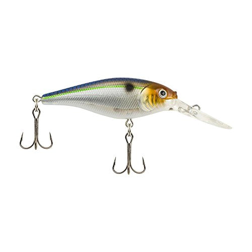 Berkley Flicker Shad Fishing Lure, Blue Smelt, 5/16 oz, 2 3/4in | 7cm Crankbaits, Size, Profile and Dive Depth Imitates Real Shad, Equipped with Fusion19 Hook - color: Blue Smelt, size: 2 3/4in - 5/16 oz