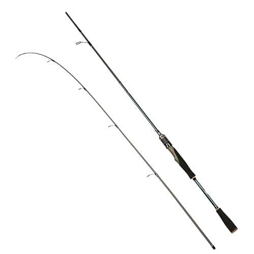 Eurasian Sports Medium Spin&Cast Fishing Rod Graphite Bass Fishing Rods Carbon 2 Piece Spinning Pole, Anti-tangling Guide Ring Portable Baitcasting Fishing Rods for Freshwater, Saltwater, Trout, Bass - color: Concept-Spin-6FT