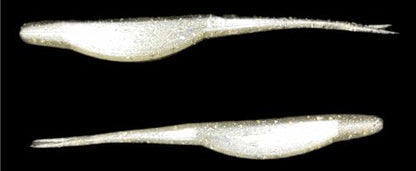 Phat Pak Baits - Drunkin Shad Zoom Super Fluke Style Soft Jerkbait 5" 20ct Soft Plastic Bass Fishing Lure - color: Hologram Shad