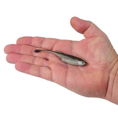 Berkley PowerBait Drip Minnow Fishing Soft Bait - color: HD Spottail Shiner, size: 4"