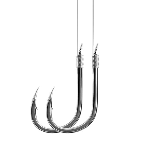 AMHDV Pre Tied Fishing Hooks on Line, Small Fish Hook with Leaders (Pack of 20) - size: 10# (3.3-6.6lb)
