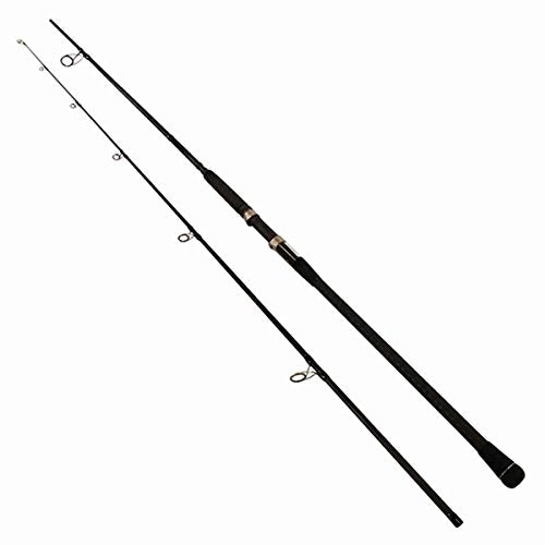 Okuma Rockaway Light Weight Carbon Saltwater Surf Rods - style: Ra-s-1202mh: Spin 12', Med-hvy, 12-25lb