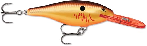 Rapala Shad Rap 05 Fishing Lures - color: Bleeding Copper Flash
