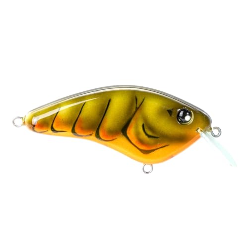 Strike King Hardliner Fishing Lure, Flat Sided Crankbait, Circuit Board Lip, Extra Tight Wobble, Size 4 Treble Hooks - color: Green Gourd