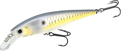 LUCKY CRAFT Pointer 78SP Fishing Lures, 3" Freshwater Bass & Trout Lures, Suspending 4ft-5ft Depth, Jerkbait, Bass Fishing Gear and Accessories, Ghost & Aurora - color: 426 Gold Threadfin Shad