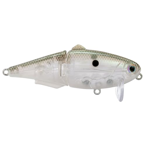 Strike King (HCWS2-568) Wake Shad Fishing Lure, Single Jointed Swimming Topwater Wakebait, 1-Ounce, Size 2 Treble Hooks, Green Gizzard Shad