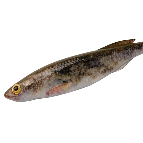 Berkley PowerBait Drip Minnow Fishing Soft Bait - color: HD Goby, size: 3"