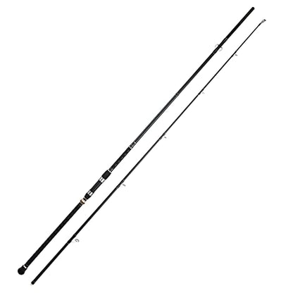 BERRYPRO Surf Spinning Fishing Rod Graphite Spinning Rod - size: 10'-Spinning-2pc