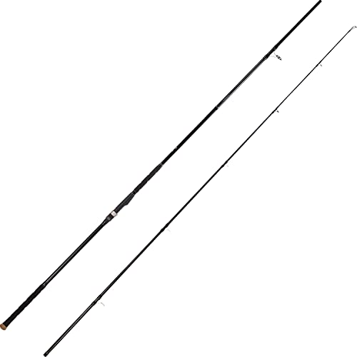BERRYPRO Surf Spinning Rod Carbon Fiber Surf Rod Travel Fishing Rod (9'/10'/11'/12') - style: 11'-spinning-2pc